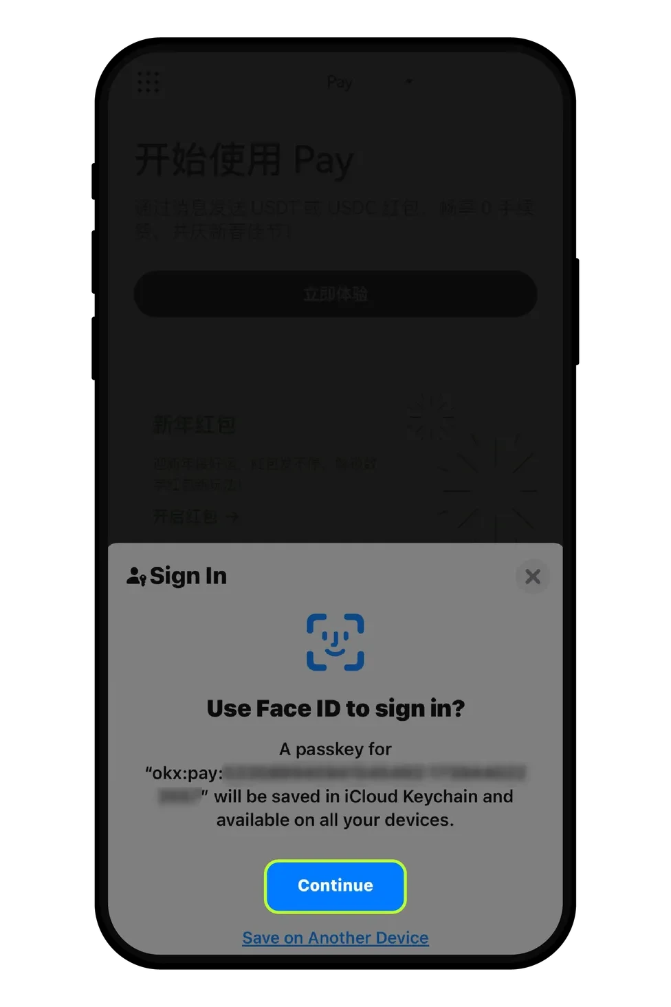 步骤 2:根据操作提示激活 Pay 账户:_图2