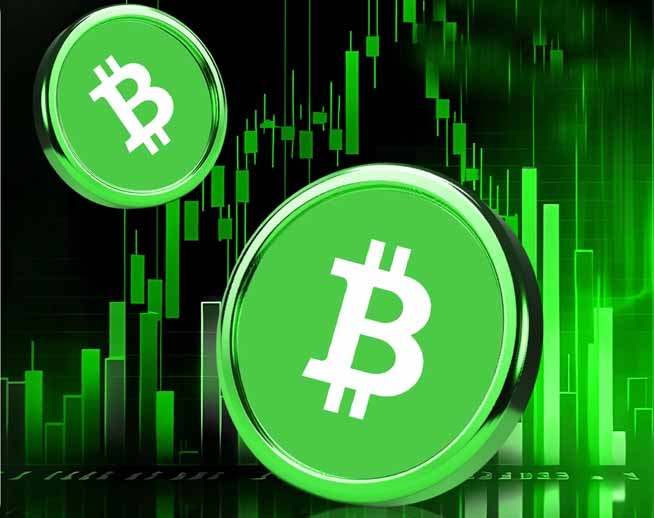 2026年比特幣現金(BCH) 幣價格預測：有望突破500美元？一文分析