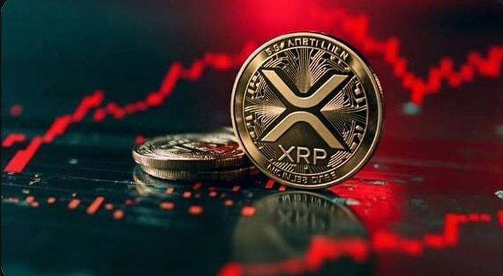 XRP币2026年是否值得投资?看涨与看空情境全面分析