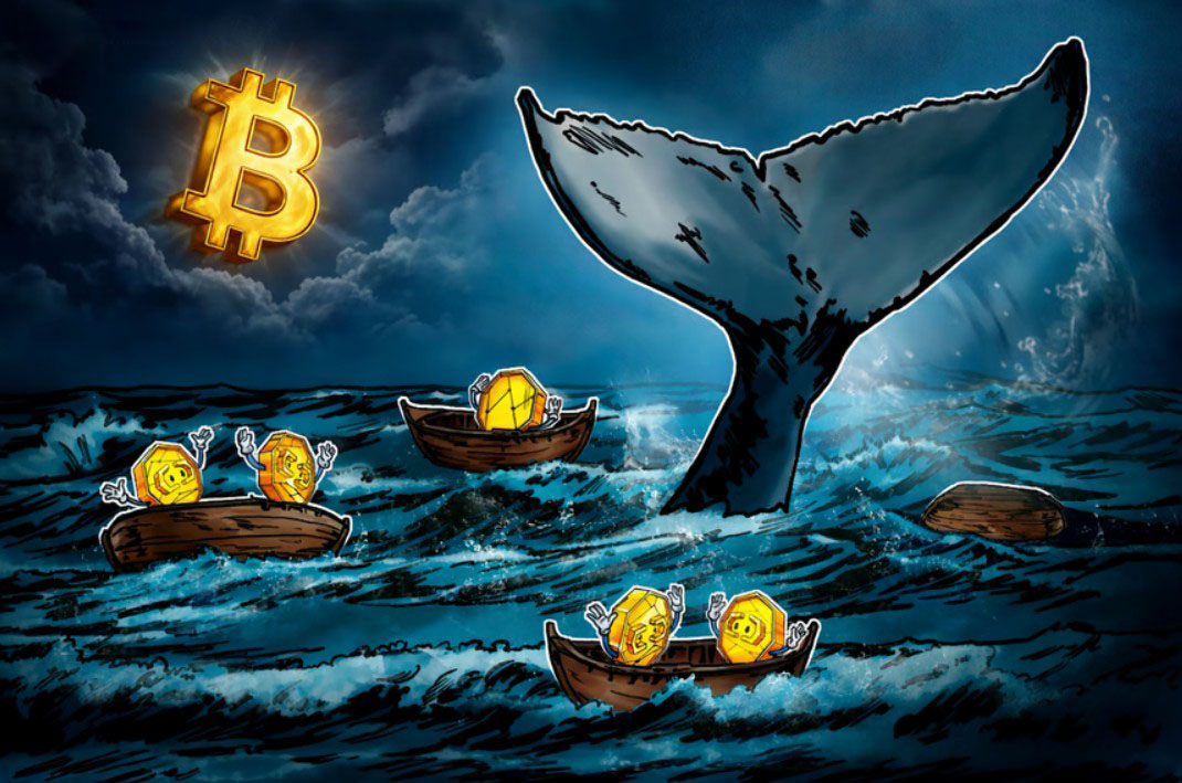 2026年第一季度比特币(BTC)大额交易者日均亏损达3.37亿美元