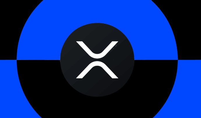 什么是XRPL代币?2026年市值排名的前12名XRPL代币总结