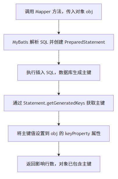 1.useGeneratedKeys方式流程