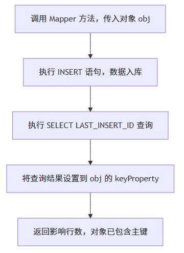 2.<selectKey order="AFTER">方式流程(以 MySQL 为例)