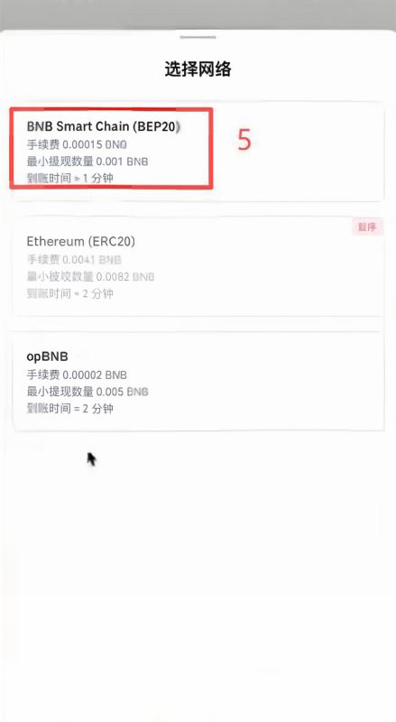 借到BNB之后怎么充到钱包里?_图5