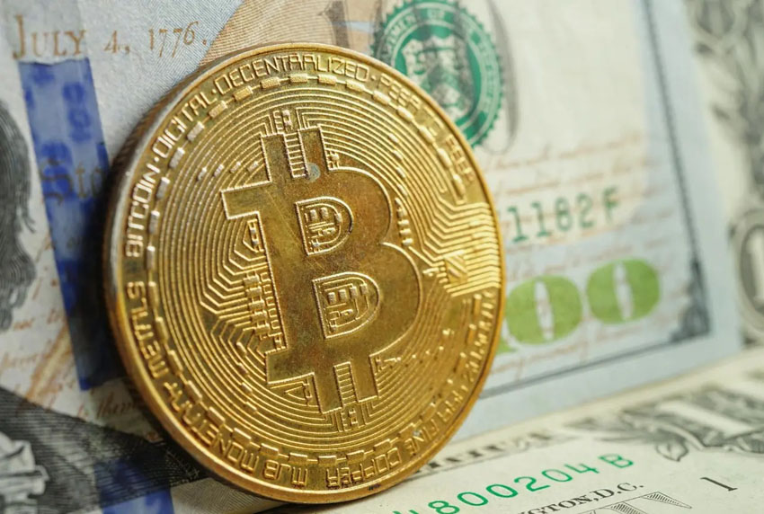 比特币迎来史上最温和熊市,空头集中离场ARK、Bitwise及多位分析师释放筑底看涨信号
