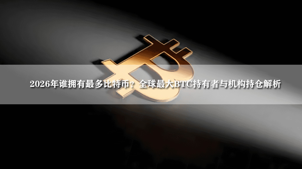 2026年谁拥有最多比特币?全球最大BTC持有者与机构持仓解析