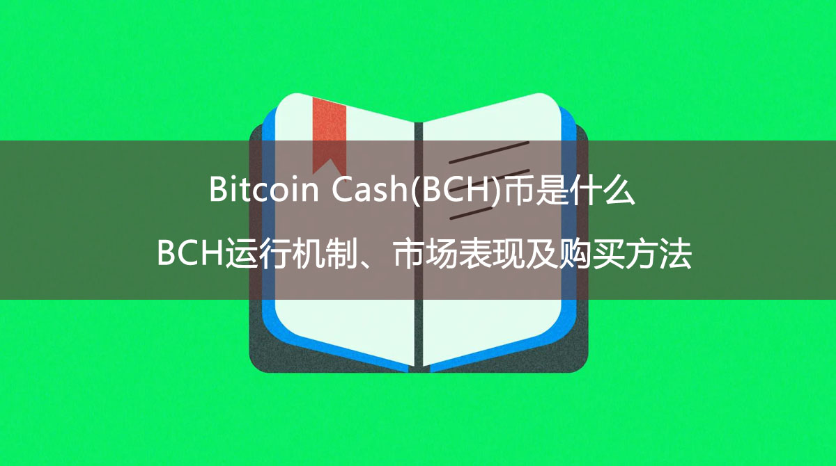 Bitcoin Cash(BCH)幣是什麼?BCH運行機制、市場表現及購買方法