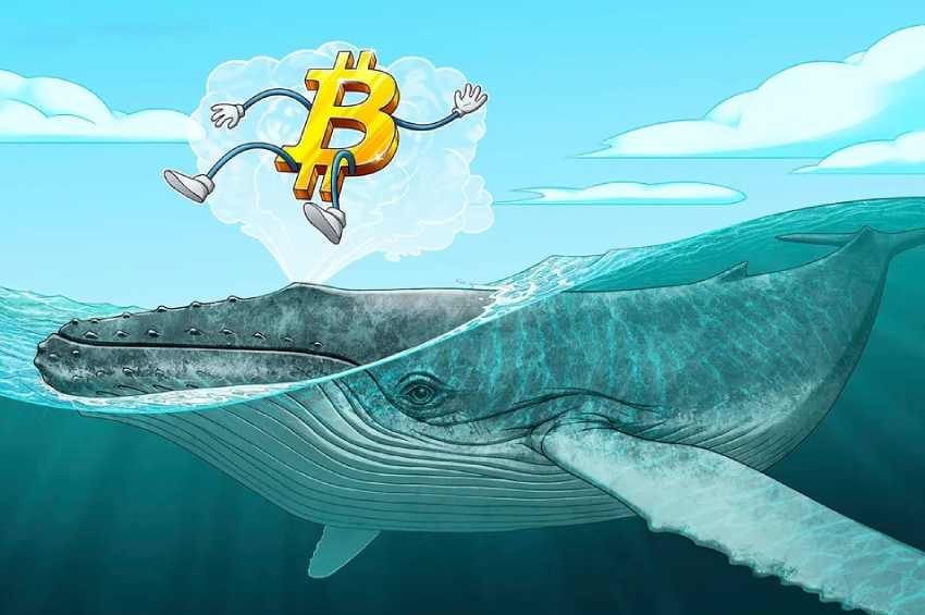 加密市场熊市尾声渐近巨头鲸鱼悄然布局持续增持比特币(BTC)以太坊等主流资产蓄势待发