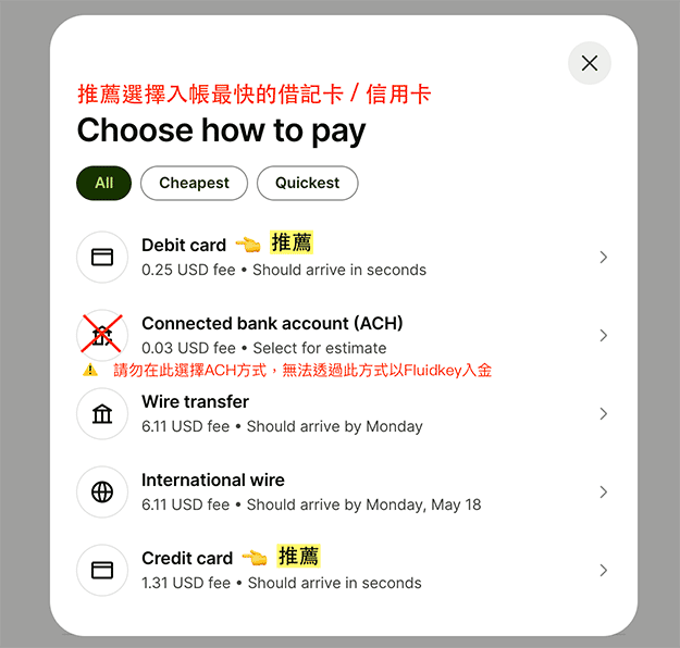 Wise 付款方式选项