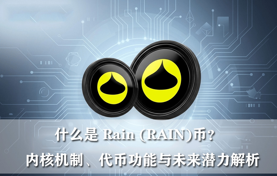什么是 Rain (RAIN)币?内核机制、代币功能与未来潜力解析