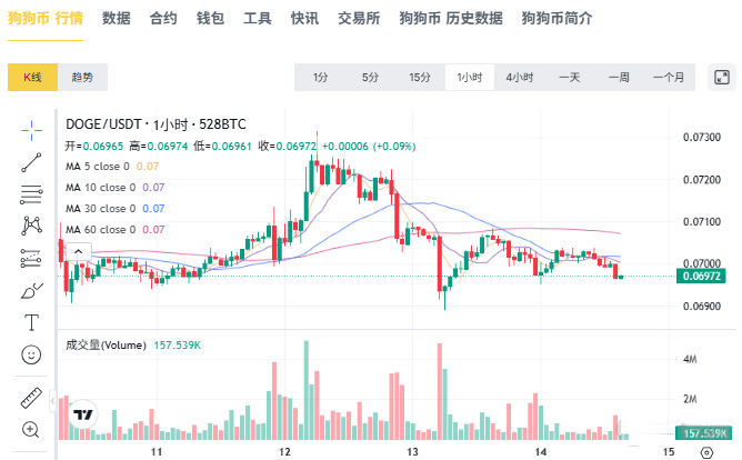 狗狗币五年后能否涨至 20 美元?周期、估值与市场前景分析