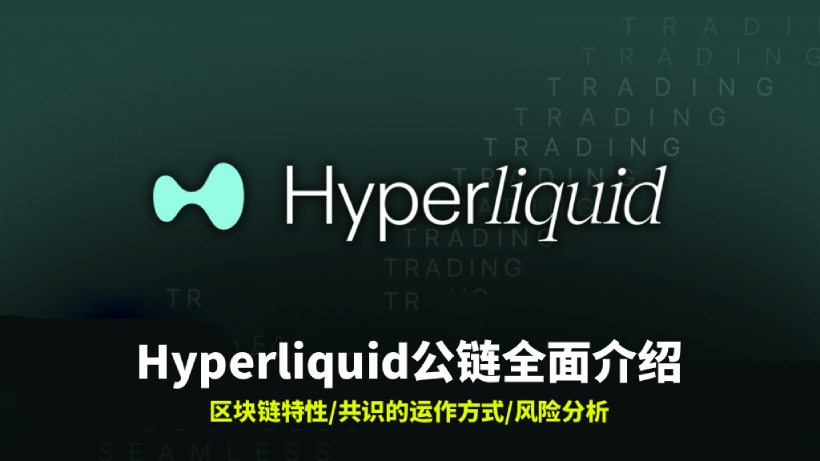 Hyperliquid公鏈?zhǔn)鞘裁? height=