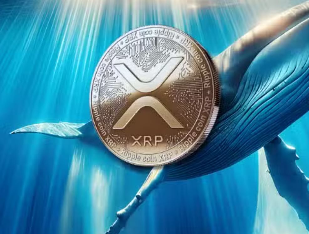 99%胜率鲸鱼逆势加仓XRP
