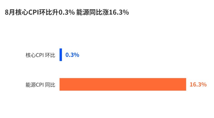 8 月核心 CPI 环比升 0.3% 能源同比涨 16.3%