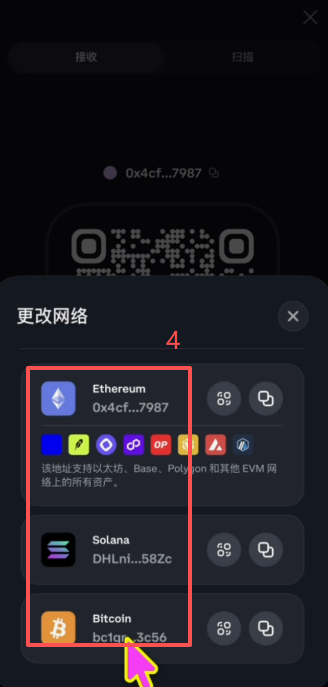Coinbase Wallet支持哪些链的地址?_图3