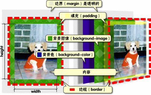 http://img.jbzj.com/file_images/css/2008101719133167177801.jpg