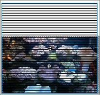 Flash實例教程:模擬海底世界