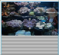 Flash實例教程:模擬海底世界