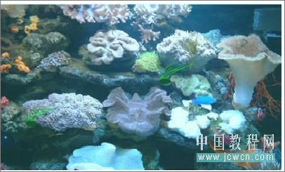 Flash實(shí)例教程:模擬海底世界