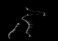 forum (9).gif