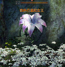 www.jb51.net