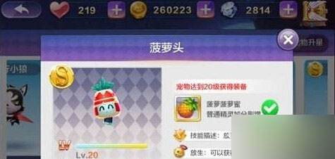 天天风之旅菠萝蜜和曼陀罗对比评测