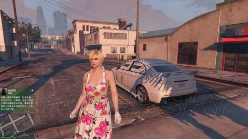 gtaolpc版人物模型怎么修改gtaol重新捏脸教程