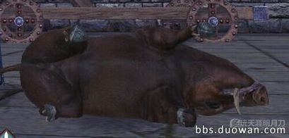 www.dbjr.com.cn