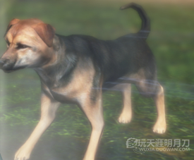 www.dbjr.com.cn