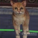 www.dbjr.com.cn