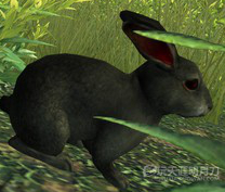 www.dbjr.com.cn
