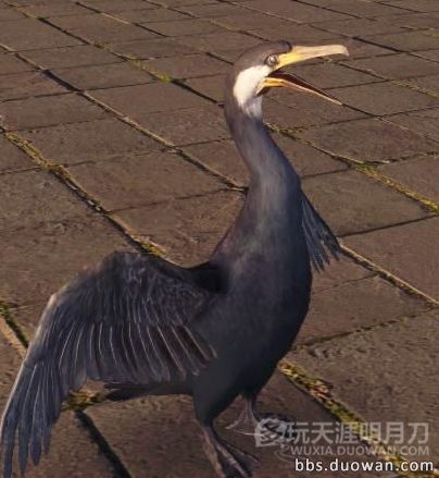 www.dbjr.com.cn