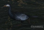 www.dbjr.com.cn