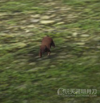 www.dbjr.com.cn