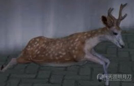 www.dbjr.com.cn