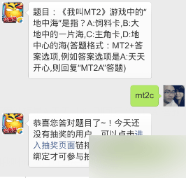 我叫MT2游戏中的地中海是指?