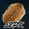 www.dbjr.com.cn
