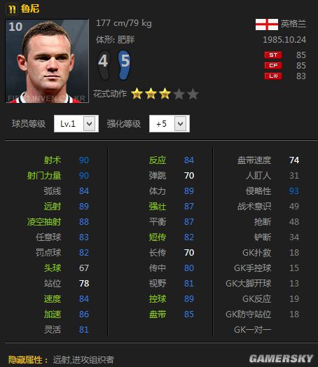 www.dbjr.com.cn