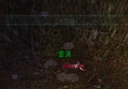 www.dbjr.com.cn
