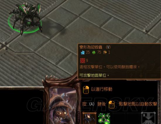 www.dbjr.com.cn