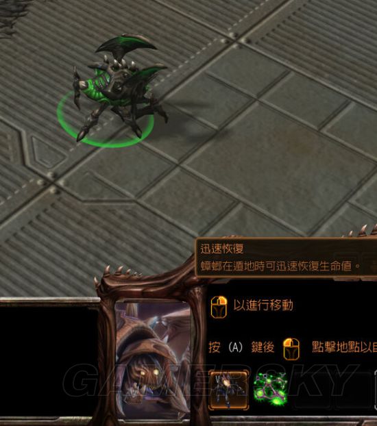 www.dbjr.com.cn