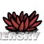www.dbjr.com.cn