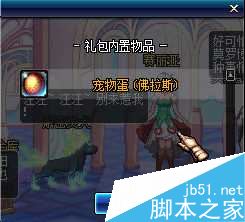 www.dbjr.com.cn