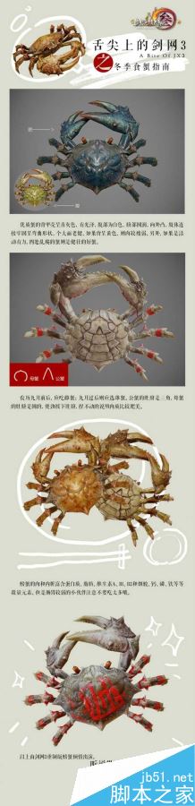 www.dbjr.com.cn