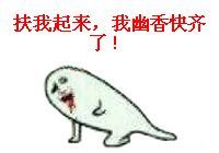 www.dbjr.com.cn