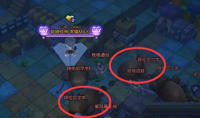 《冒险岛2》11月13日每日任务
