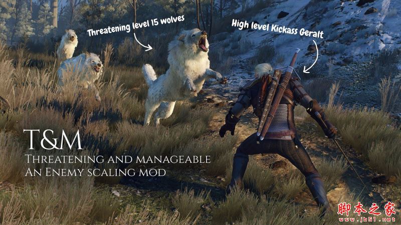 《巫师3:狂猎》怪物平衡调整MOD