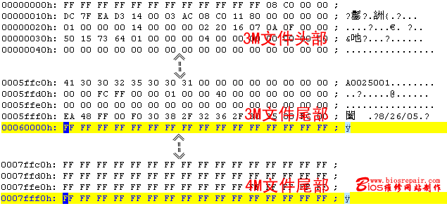 biosyl-1.gif (13467 字节)