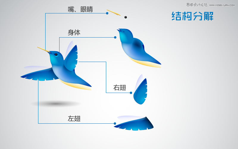 Illustrator制作可愛的蜂鳥教程,PS教程,思緣教程網(wǎng)