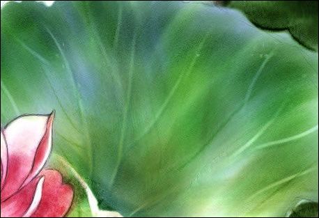 Painter教程:手繪荷花水彩畫(huà)_腳本之家jb51.net網(wǎng)絡(luò)轉(zhuǎn)載